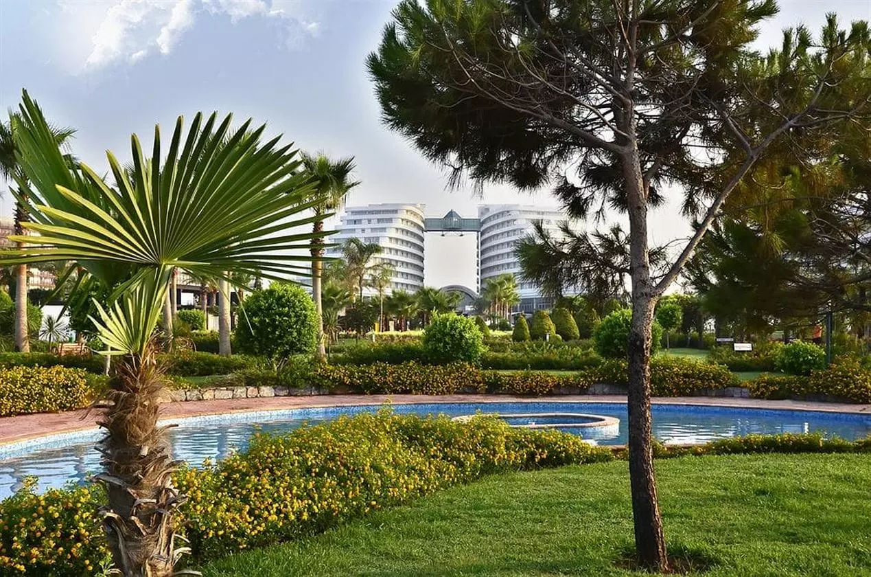 MIRACLE_SHABAVIZ (17).jpg